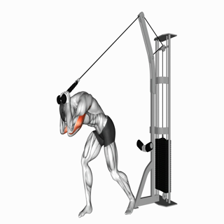 Cable Rope High Pulley Overhead Triceps Extension
