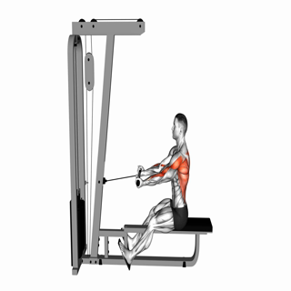 Cable Seated Supine grip Row