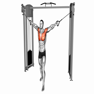 Cable Standing-Up Straight Crossovers