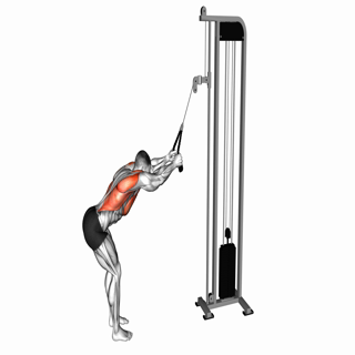 Cable Straight Arm Pulldown (with rope attachment)
