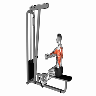 Seated Cable Row