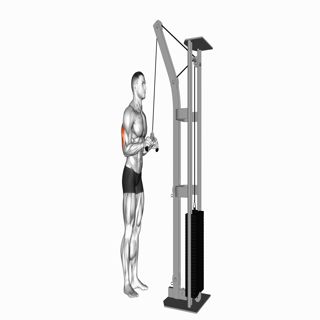 Cable V-Bar Pushdown