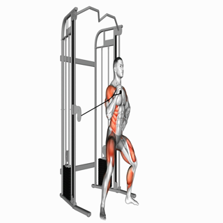 Cable twisting overhead press