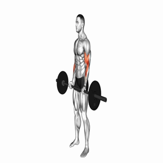 Cheat Curl