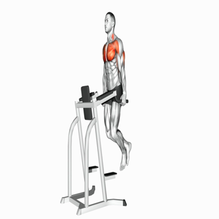 Chest Dips