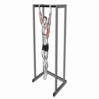 Dead Hang Stretch