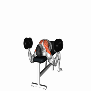 Dumbbell Alternative Fly