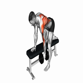 Dumbbell Bent Over Single Arm Row