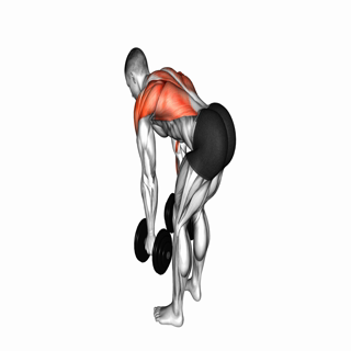 Dumbbell Bent over Row