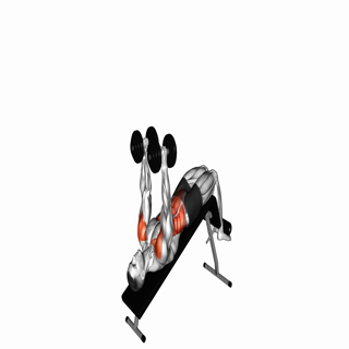 Dumbbell Decline Overhead Sit-up