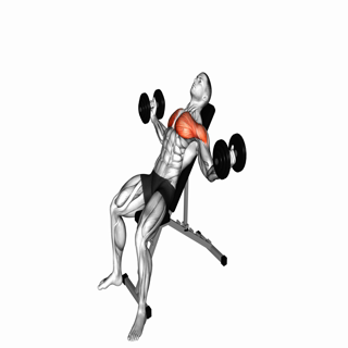 Dumbbell Incline Alternate Fly