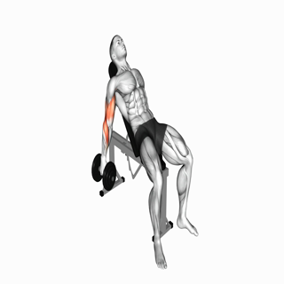 Incline Dumbbell Curl