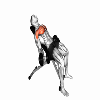 Dumbbell Incline Low Fly