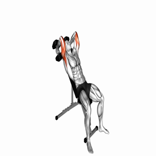 Dumbbell Incline Triceps Extension