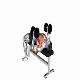 Dumbbell Lying Hammer Press
