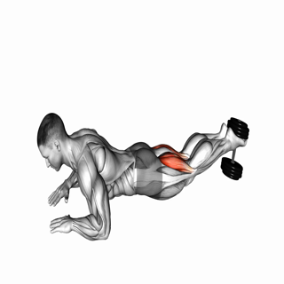 Dumbbell Lying Hamstring Curl