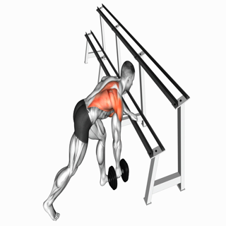Dumbbell One Arm Row