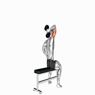 Dumbbell One Arm Triceps Extension (on bench)