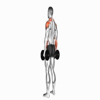 Dumbbell Rear Delt Fly