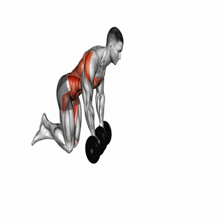 Dumbbell Rollout