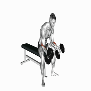 Dumbbell Seated Neutral Wrist Curl
