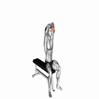 Dumbbell Overhead Triceps Extension