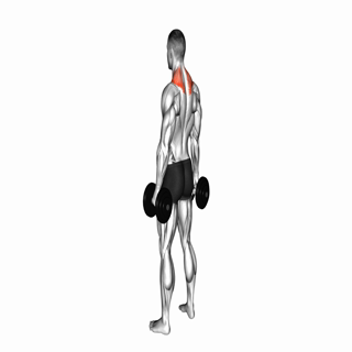 Dumbbell Shrugs
