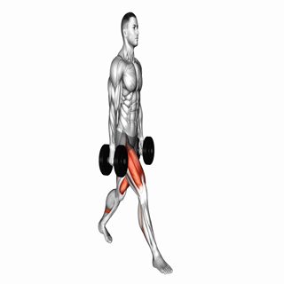 Dumbbell Split Squat