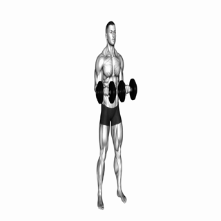 Dumbbell Standing Arms Rotate