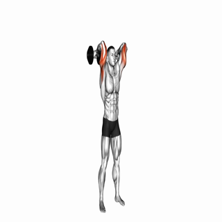 Dumbbell Standing French Press