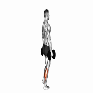 Dumbbell Standing Single Leg Calf Raise