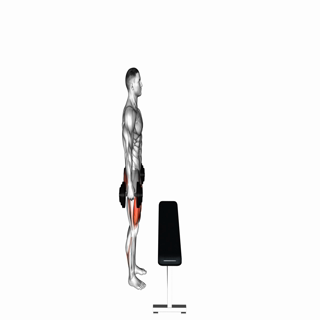 Dumbbell Step-up