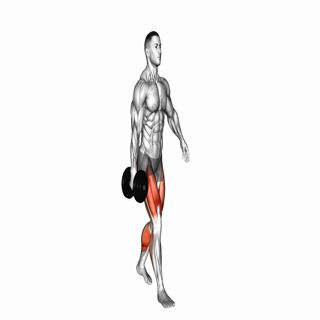 Dumbbell Suitcase Carry