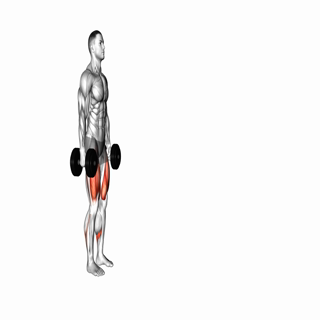 Dumbbell Walking Lunge