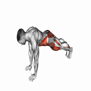Front Plank Toe Tap