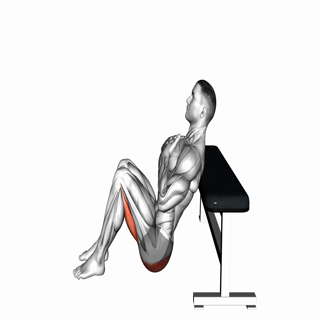 Glute Bridge from Bench