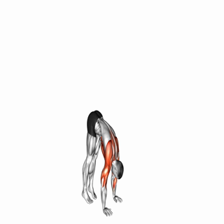 Handstand Push-up