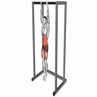 Hanging Knees to Elbows