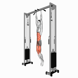 Hanging Leg Raise