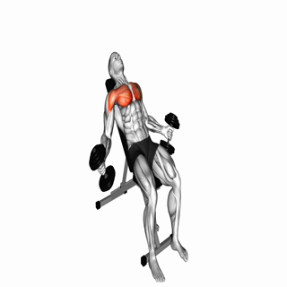 Hyght Dumbbell Fly