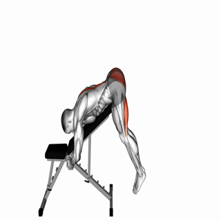 Incline Reverse Hyperextension