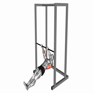 Inverted Row