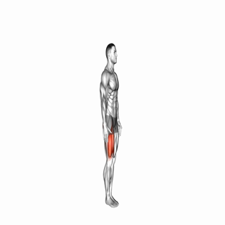 Knee Raise