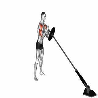 Landmine Press