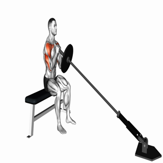 Landmine Seated Shoulder Press