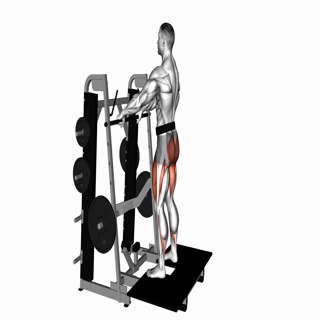 Lever Belt Squat