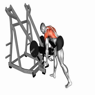 Lever Bent Over Neutral Grip Row (with chest support)