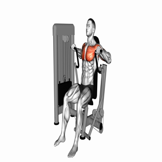 Chest Press Machine