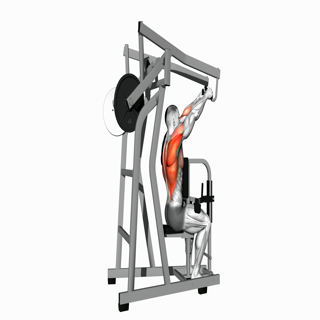 Lever High Row (plate loaded)