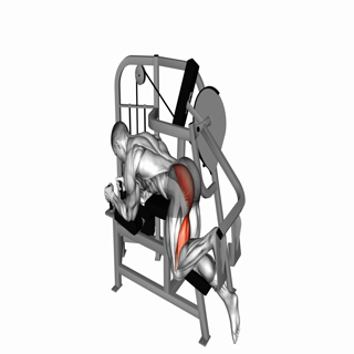 Lever Hip Extension (VERSION 2)